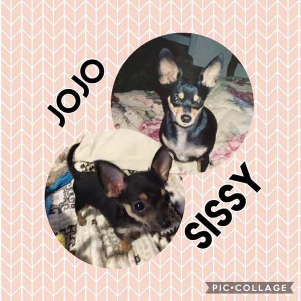 Meet your Posher, Danita